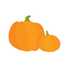 Pumpkin graphic for HOOT n Harvest Family Weekend.