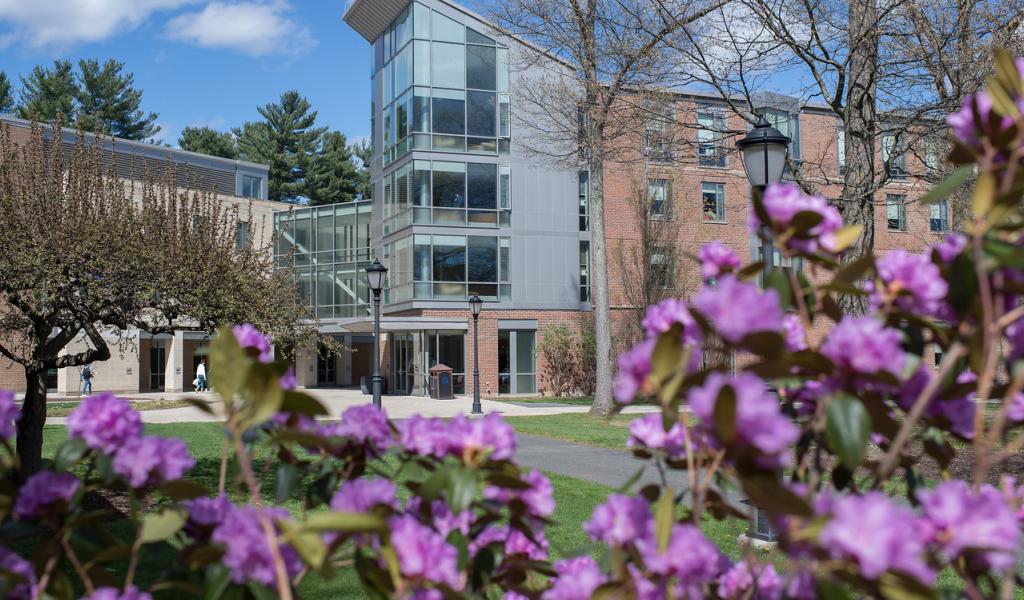 Exterior of New Hall with flowering bushes in front.